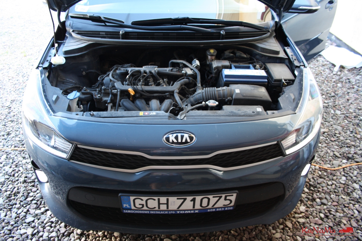 Kia Rio