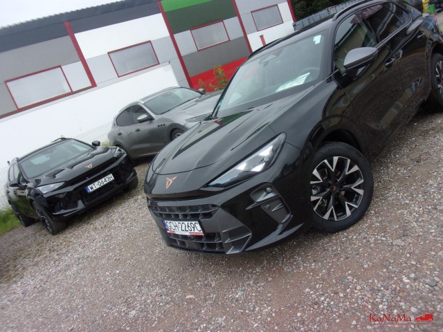 cupra