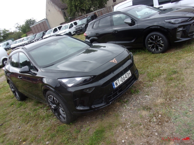 cupra